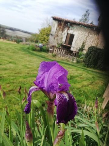 Appartement au bout du chemin à Bouteilles-Saint-Sébastien Extérieur photo