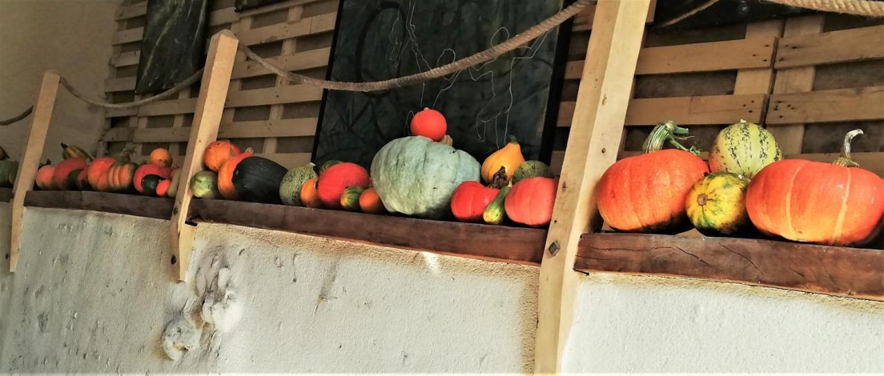 Appartement au bout du chemin à Bouteilles-Saint-Sébastien Extérieur photo